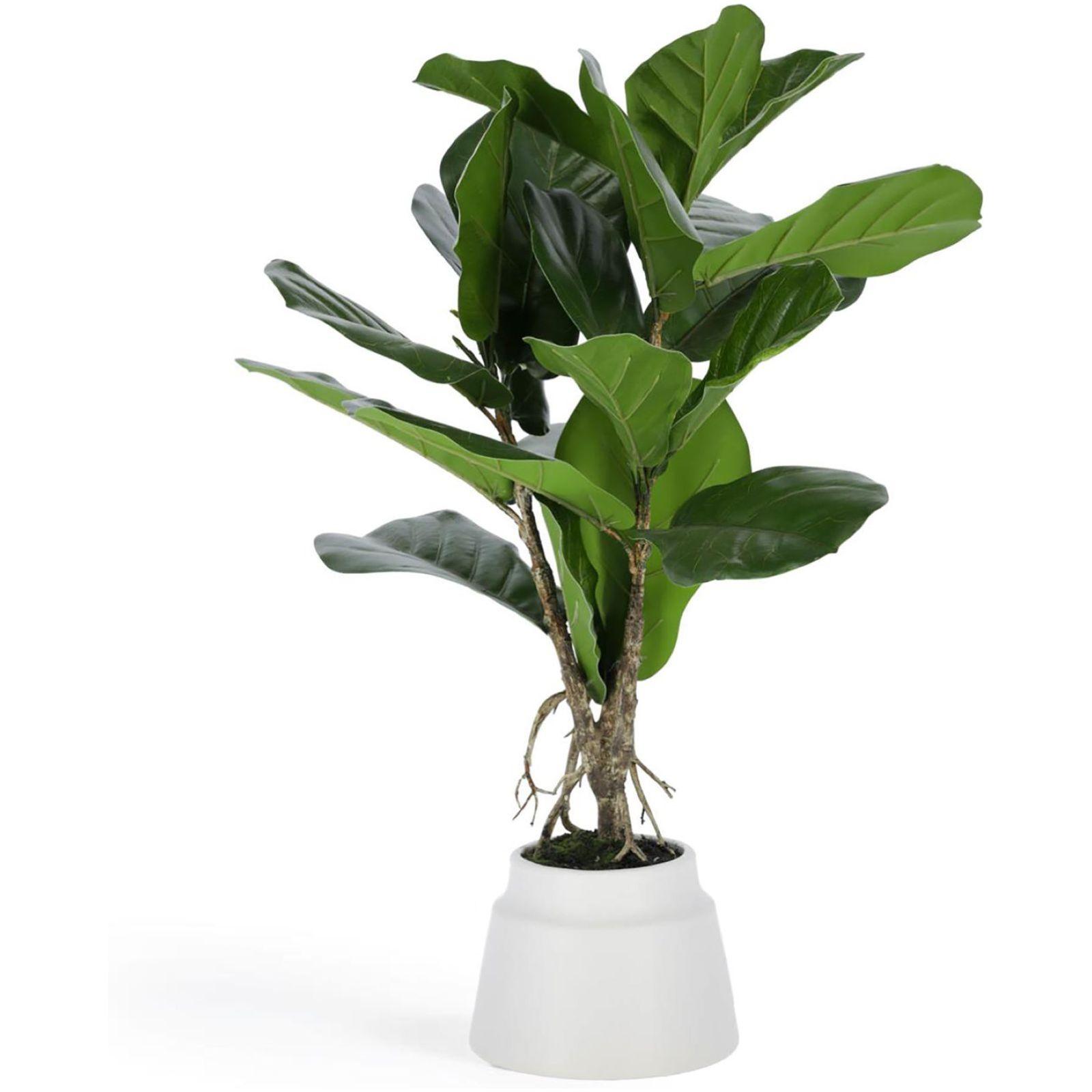 Lyrata Kunstpflanze 60 cm