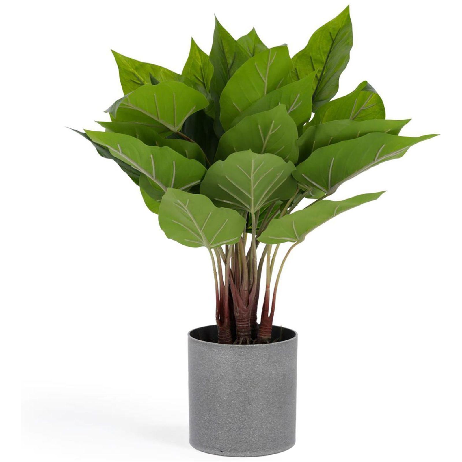 Anthurium Kunstpflanze 50 cm