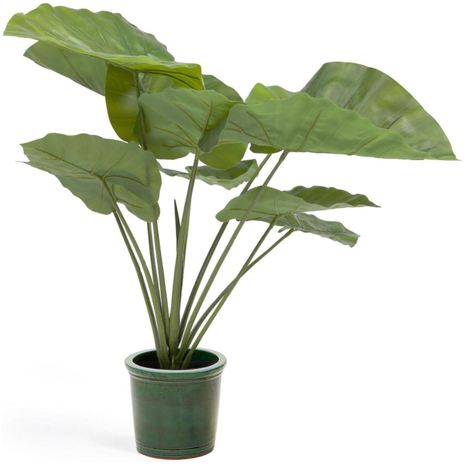 Alocasia Odora Kunstpflanze mit Topf schwarz 57 cm