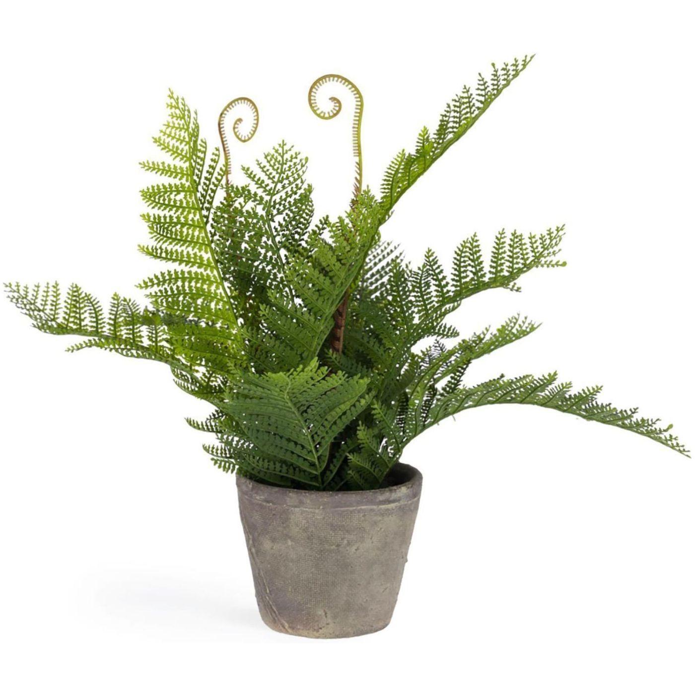 Filicopsida Kunstpflanze