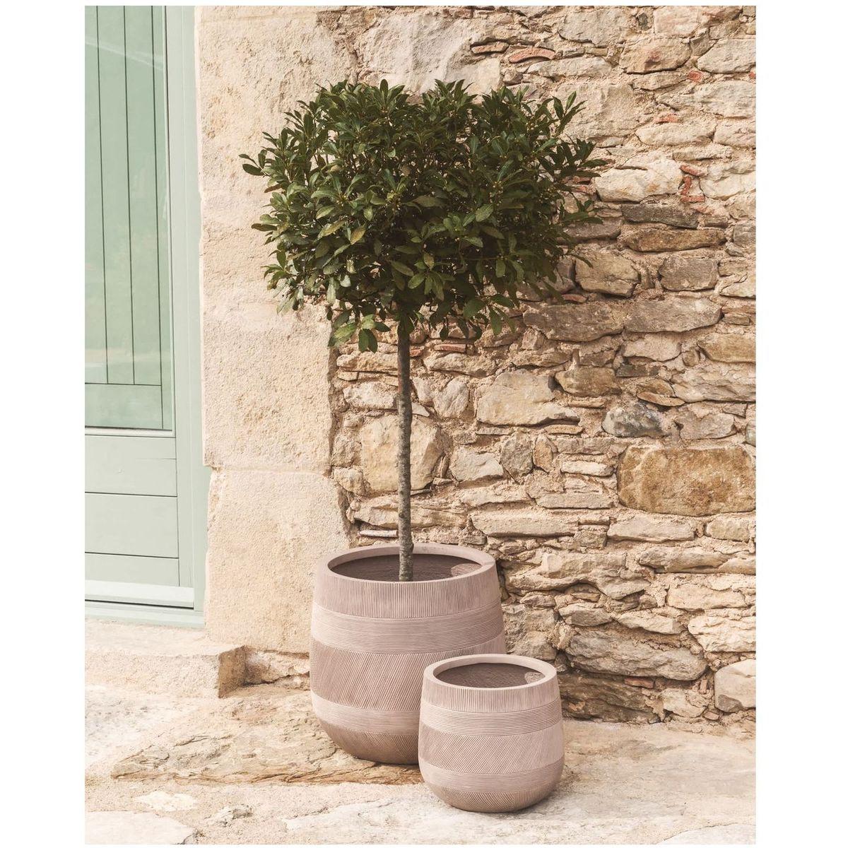 Blumentopf rund Tival II Zementoptik beige (2er-Set)