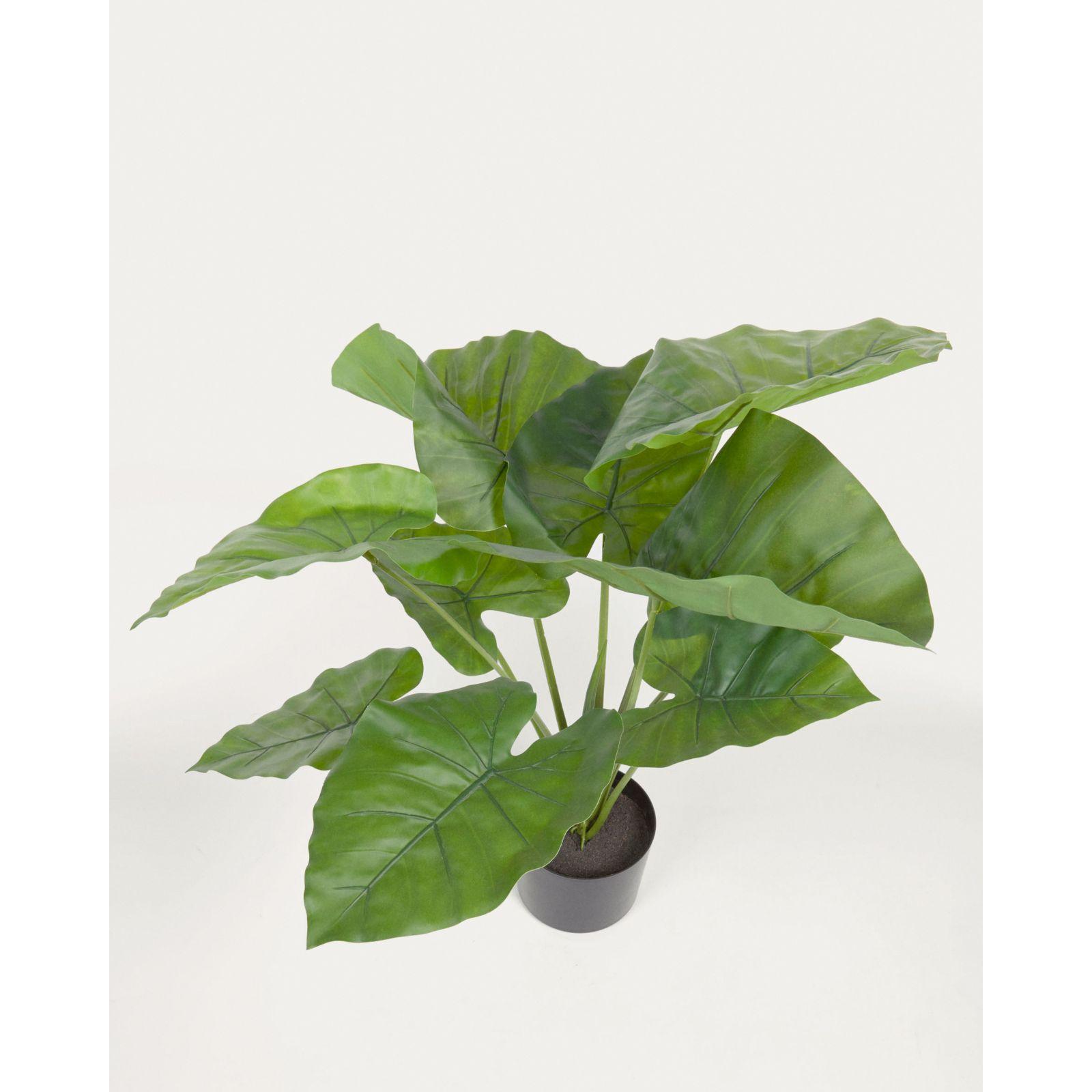 Alocasia Odora Kunstpflanze mit Topf schwarz 57 cm