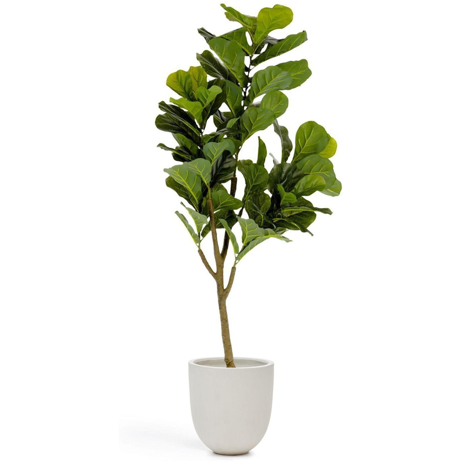 Ficus Kunstpflanze 150 cm