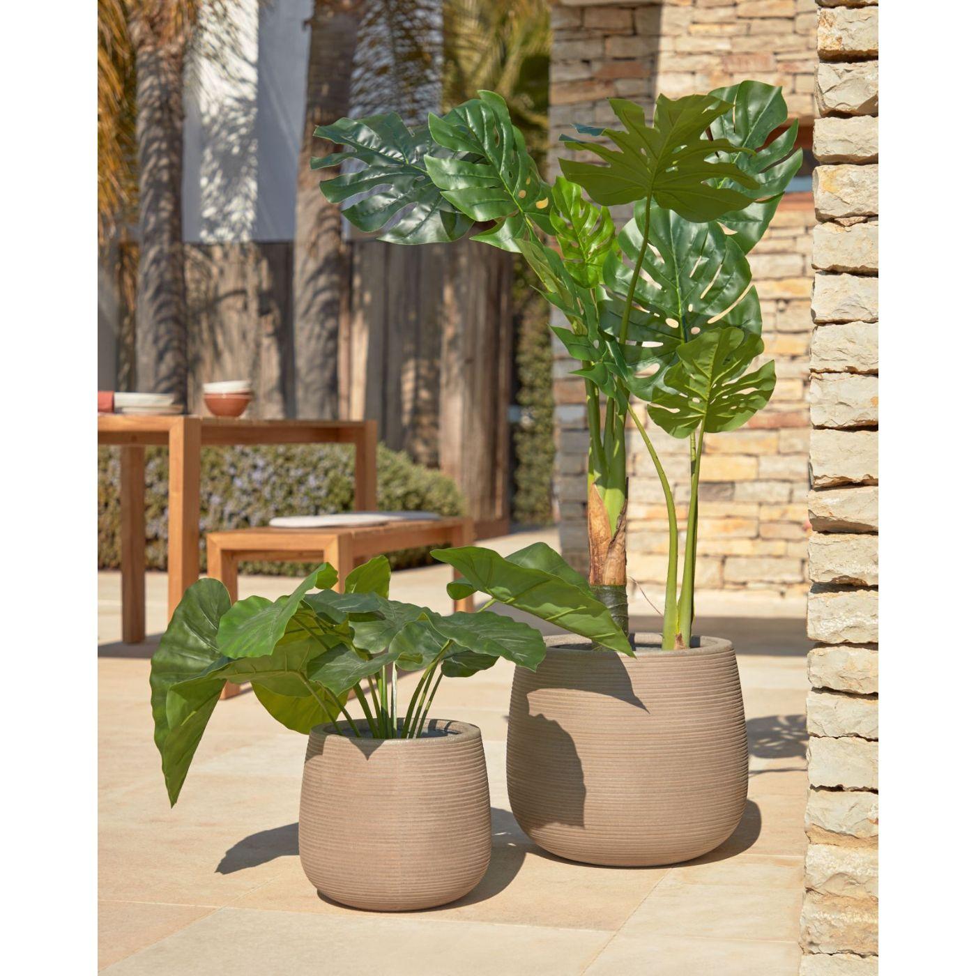 Alocasia Odora Kunstpflanze mit Topf schwarz 57 cm