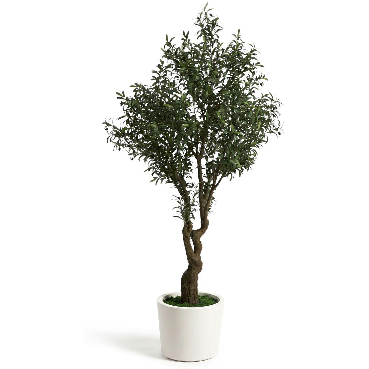 Kunstpflanze künstlicher Olivenbaum mit weissem Topf 250