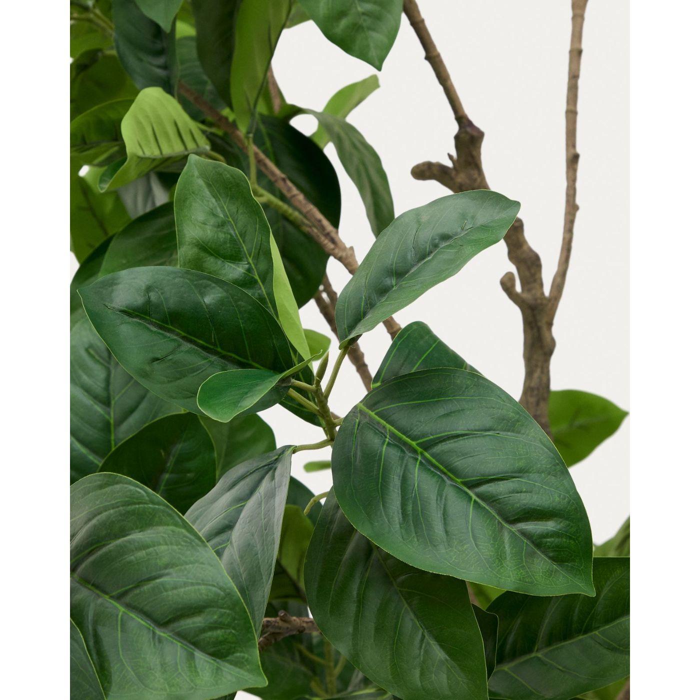 Kunstbaum Kunstpflanze  Ficus mit schwarzem Topf 210cm