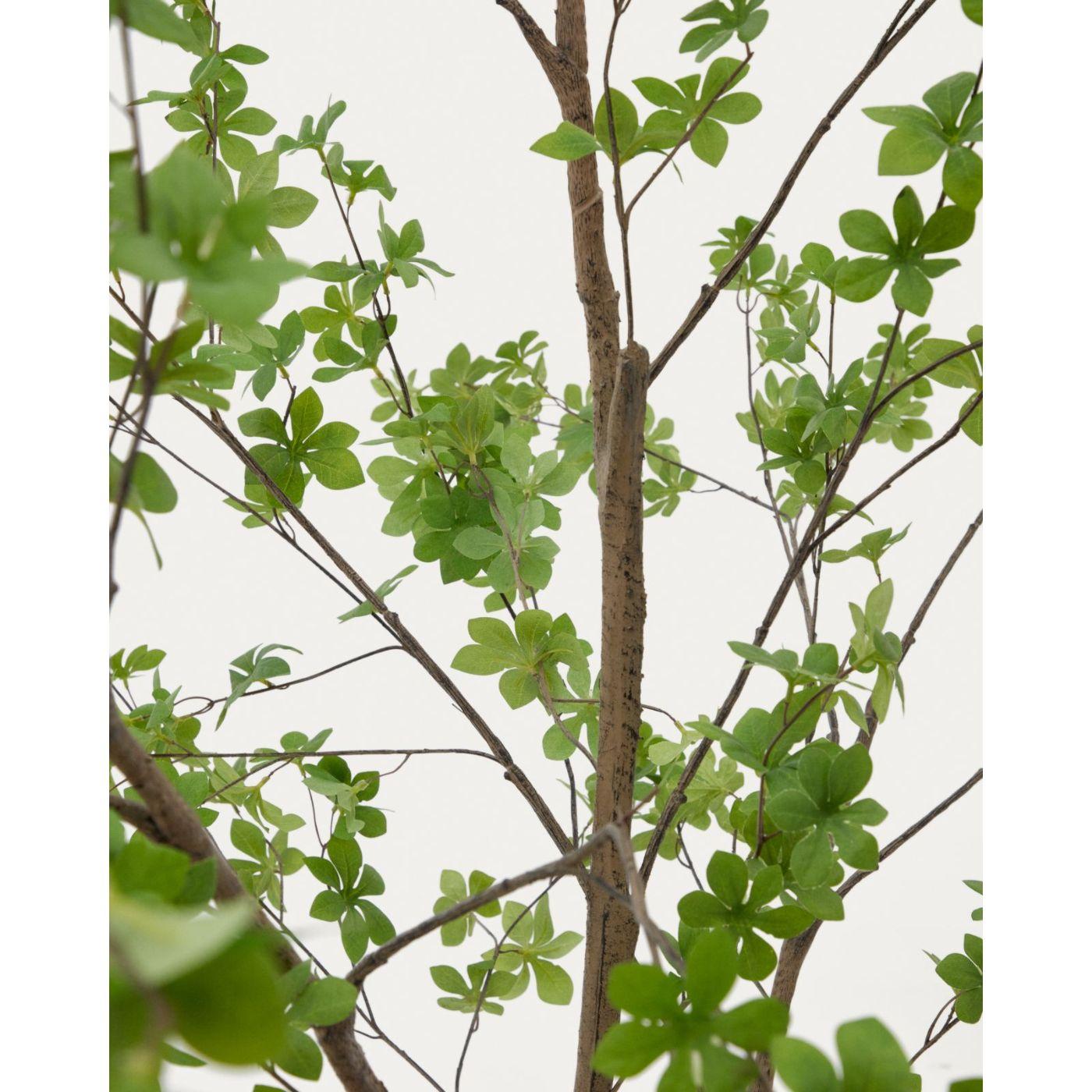 Kunstbaum Kunstpflanze Enkianthus mit schwarzem Übertopf 214 cm
