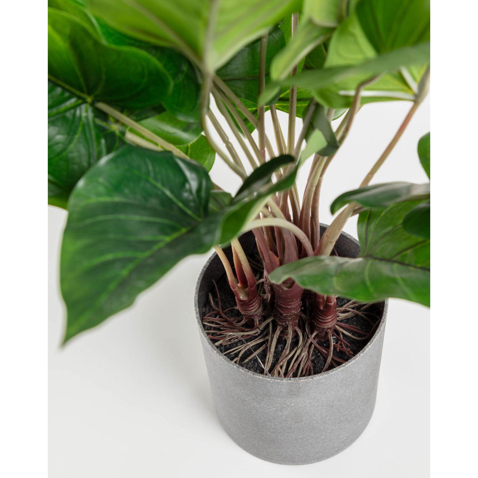 Anthurium Kunstpflanze 50 cm