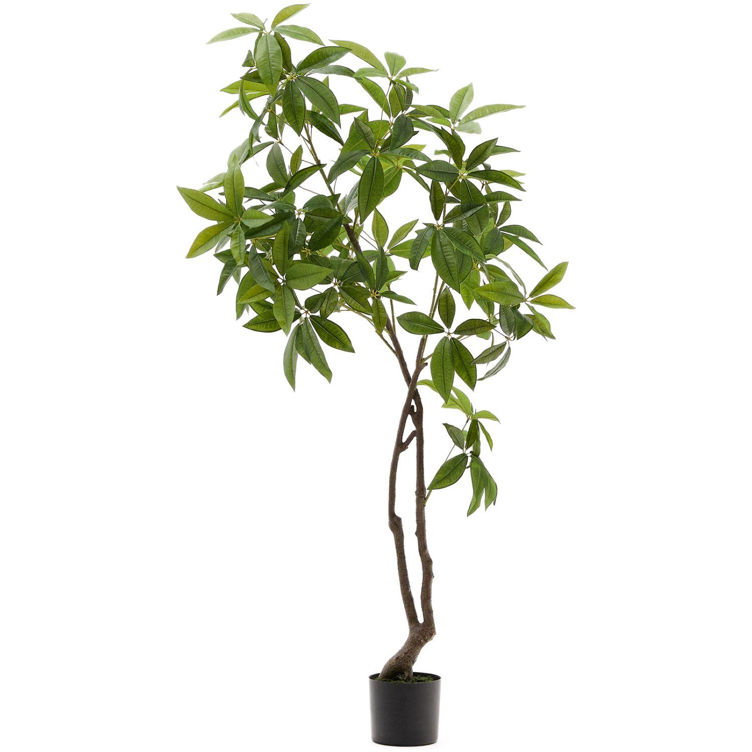 Kunstbaum Kunstpflanze Pachira mit schwarzem Topf 180 cm