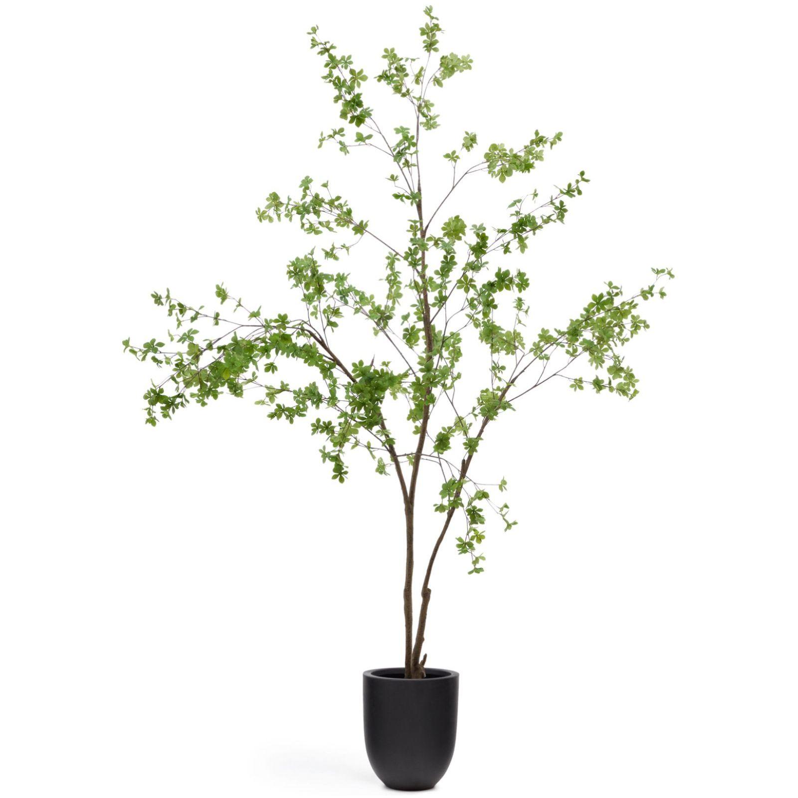 Kunstbaum Kunstpflanze Enkianthus mit schwarzem Übertopf 214 cm