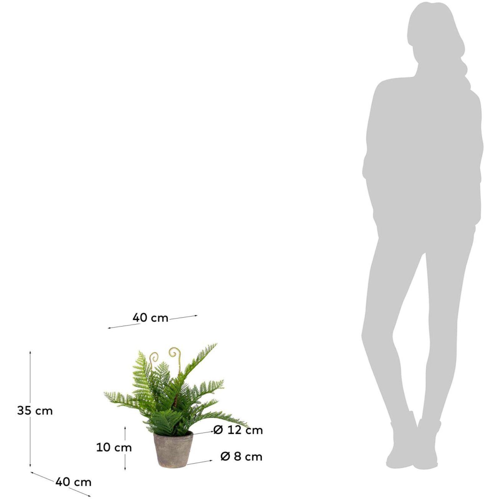 Filicopsida Kunstpflanze
