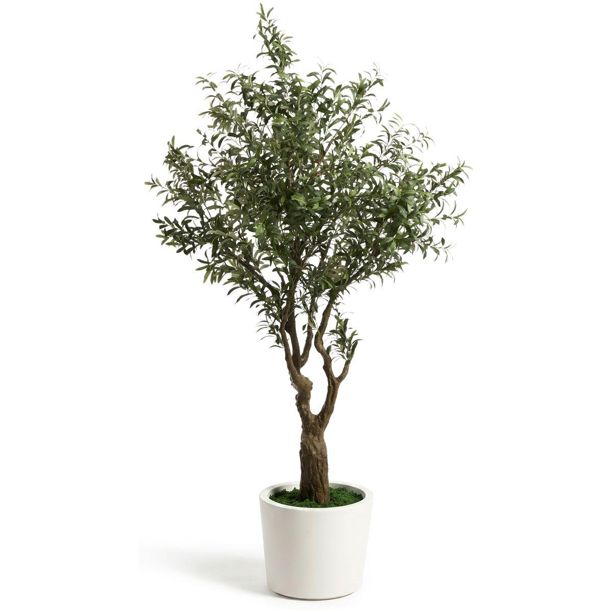 Kunstpflanze künstlicher Olivenbaum mit weissem Topf 250