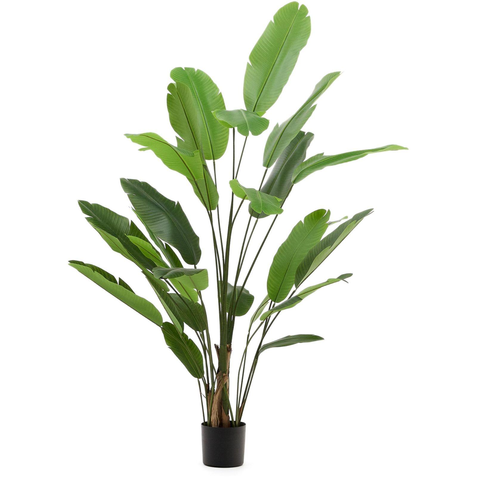 Kunstpflanze Banano mit schwarzem Topf 210 cm