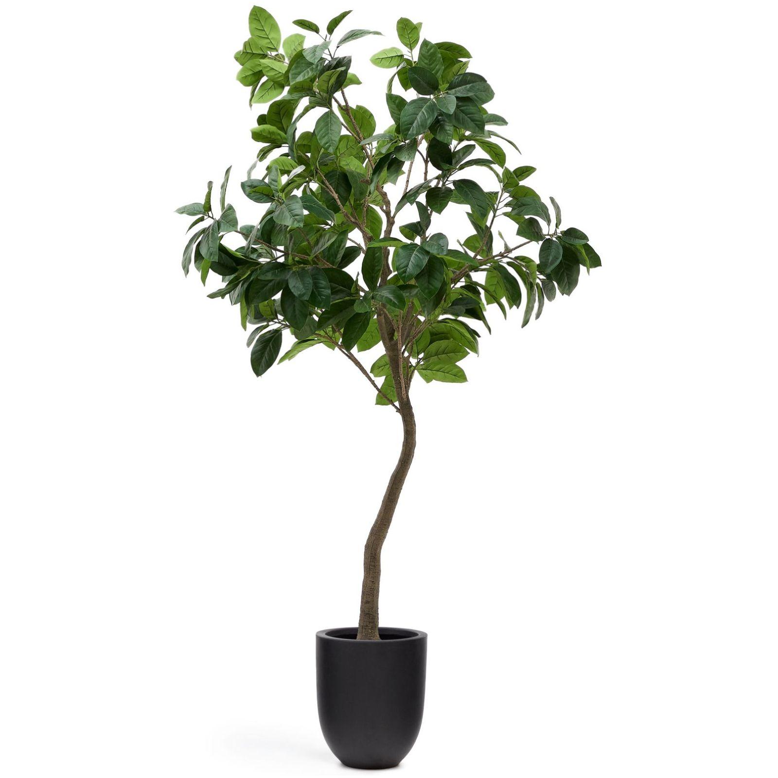 Kunstbaum Kunstpflanze  Ficus mit schwarzem Topf 210cm